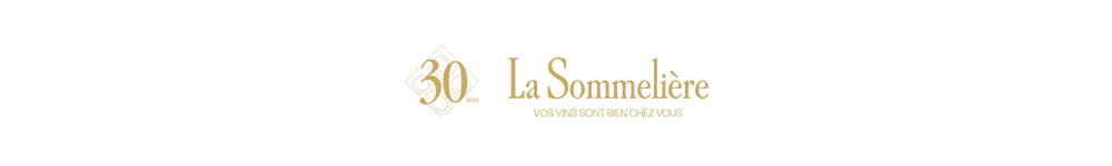 ELYSEE 144 Bottles – Premium Dual-Zone Wine Cellar